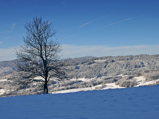 Habère-Poche 2003 Haute-Savoie - France