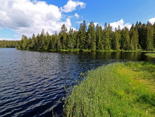 Etang de la Gruère 2020 Jura - Suisse