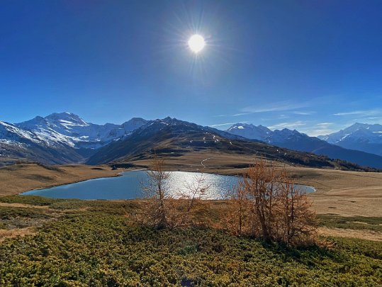 Gspon - Visperterminen 2020 Valais - Suisse