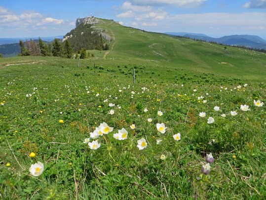 Le Chasseron 2020 Vaud - Suisse
