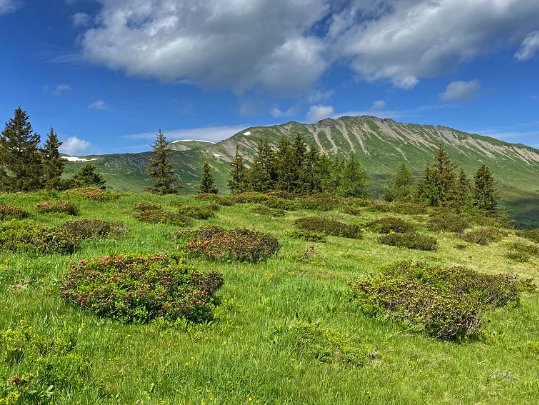 Col du Pillon - Feutersoey 2020 Vaud et Berne - Suisse