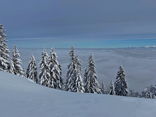 Col du Mollendruz - Croix de Châtel 2021 Vaud - Suisse