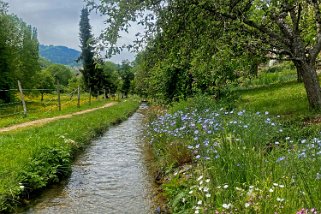 Le Sentier du patrimoine - Croy Vaud - Suisse