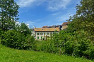 Grand Moulin - Croy Vaud - Suisse
