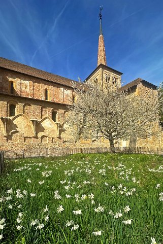 Eglise Romane Clunisienne de Romainmôtier Vaud - Suisse