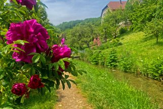 Le Sentier du patrimoine - Croy Vaud - Suisse