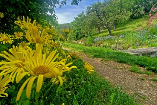 Le Sentier du patrimoine - Croy Vaud - Suisse