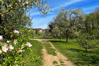 Le Sentier du patrimoine - Croy Vaud - Suisse