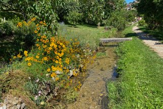 Le Sentier du patrimoine - Croy Vaud - Suisse