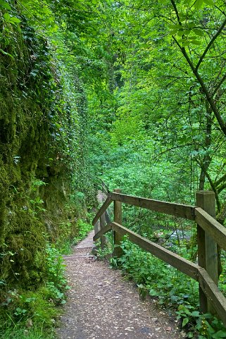 La Tine de Conflens Vaud - Suisse