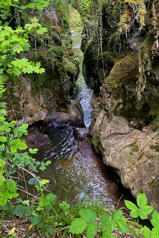 La Tine de Conflens Vaud - Suisse