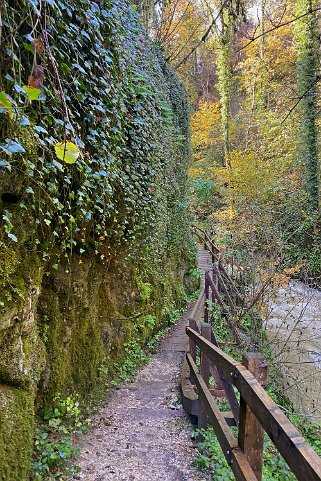 La Tine de Conflens Vaud - Suisse