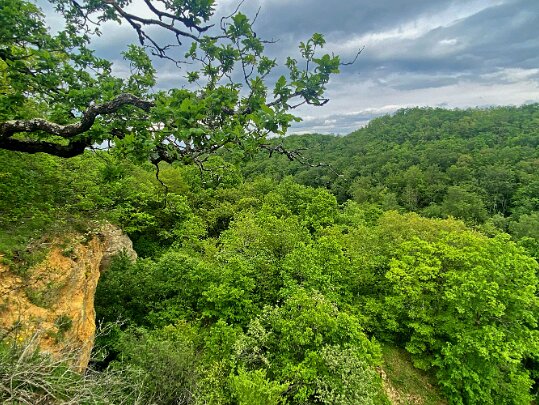 Carrière Jaune Vaud - Suisse