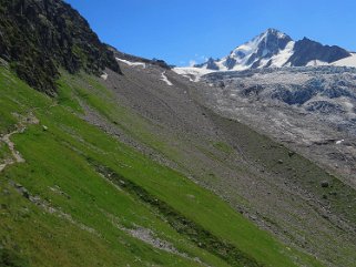 Glacier du Tour - Aiguille du Chardonnet 3824 m Rando 2016