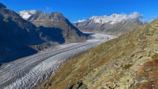 Glacier d'Aletsch Rando 2021
