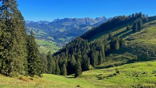 Val de Charmey - Le Vanil des Cours 1562 m Rando 2021