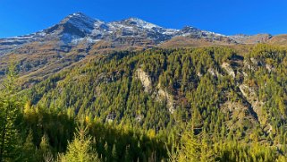 Garda Bordon 3309 m - Val d'Anniviers Rando 2021