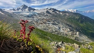 Glacier du Tour Rando 2024