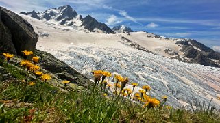 Glacier du Tour Rando 2024