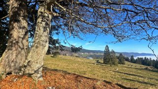 Aiguilles de Baulmes Rando 2024