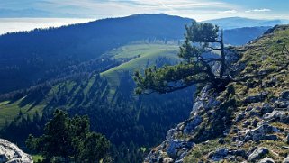 Aiguilles de Baulmes Rando 2024