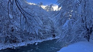 L'Arve - Chamonix Balade 2024