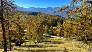 Col des Planches - La Crevasse Rando 2024