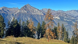 Col des Planches - La Crevasse Rando 2024