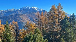 Col des Planches - La Crevasse Rando 2024