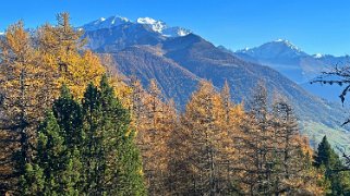 Col des Planches - La Crevasse Rando 2024