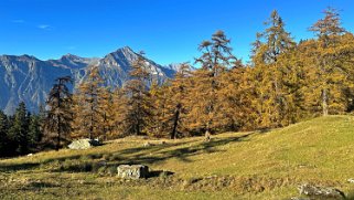 Col des Planches - La Crevasse Rando 2024