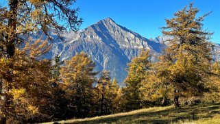 Col des Planches - La Crevasse Rando 2024