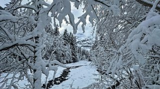 Les Diablerets Rando 2024