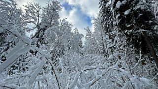 Les Diablerets Rando 2024