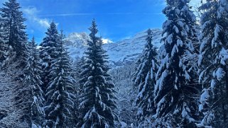 Les Diablerets Rando 2024