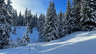 Les Diablerets Rando 2024