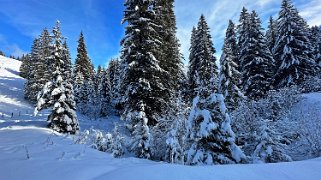 Les Diablerets Rando 2024