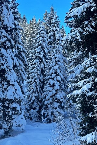 Les Diablerets Rando 2024