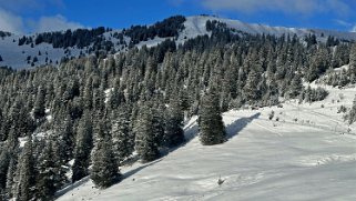 Les Diablerets Rando 2024