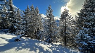 Les Diablerets Rando 2024