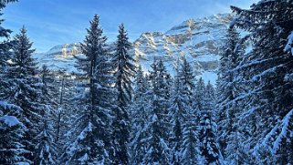 Les Diablerets Rando 2024