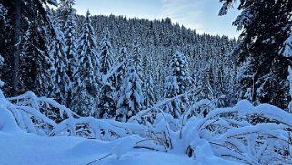 Les Diablerets Rando 2024