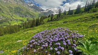 Dünde Mittelberg - Kiental Rando 2024