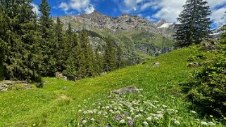 Dünde Mittelberg - Kiental Rando 2024