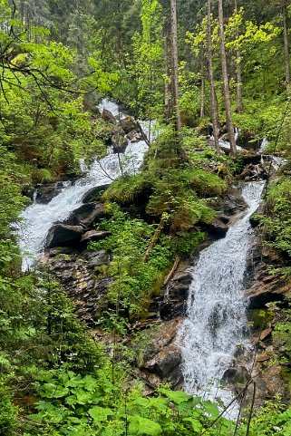 Griesschlucht - Kiental Rando 2024