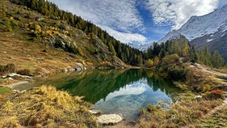 Schwarzsee - Lötschental Rando 2024