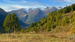 Lötschental Rando 2024