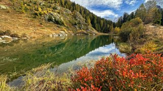 Schwarzsee - Lötschental Rando 2024