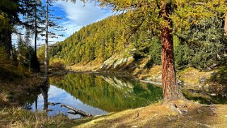 Schwarzsee - Lötschental Rando 2024