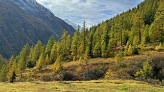 Fafleralp - Lötschental Rando 2024